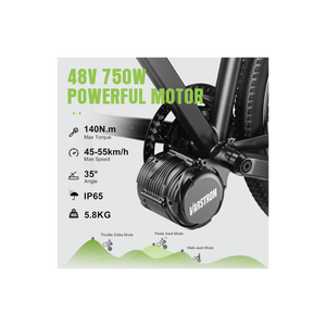 Varstrom TSDZ8 48V 750W Mid-Drive E-Bike Conversion Kit