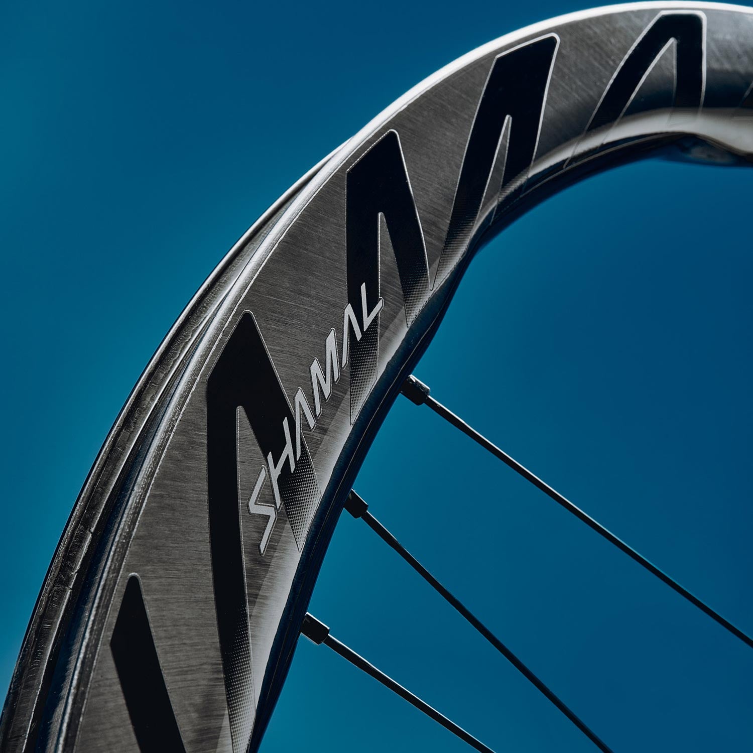 Campagnolo Shamal Dual Profile 2-Way C23 Disc