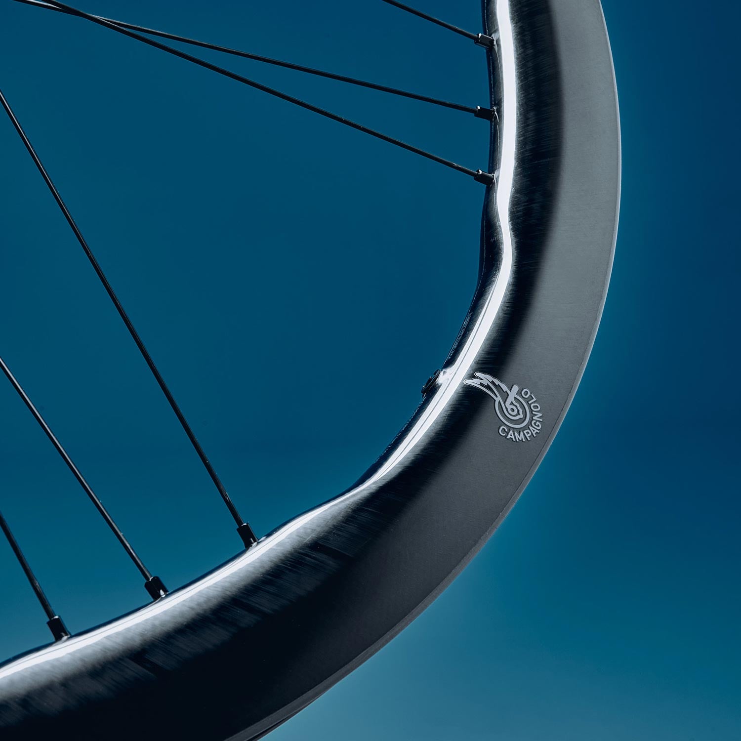 Campagnolo Shamal Dual Profile 2-Way C23 Disc