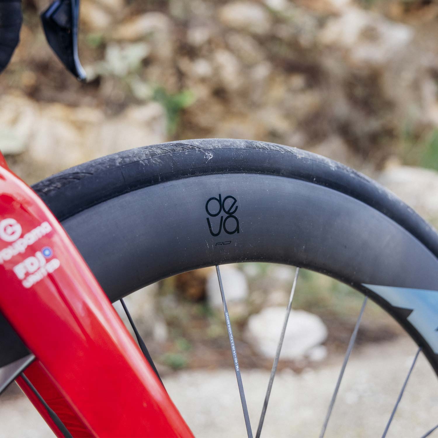 Miche Deva RD 52 Tubeless Disc Daylight Silver Team Edition Wheels