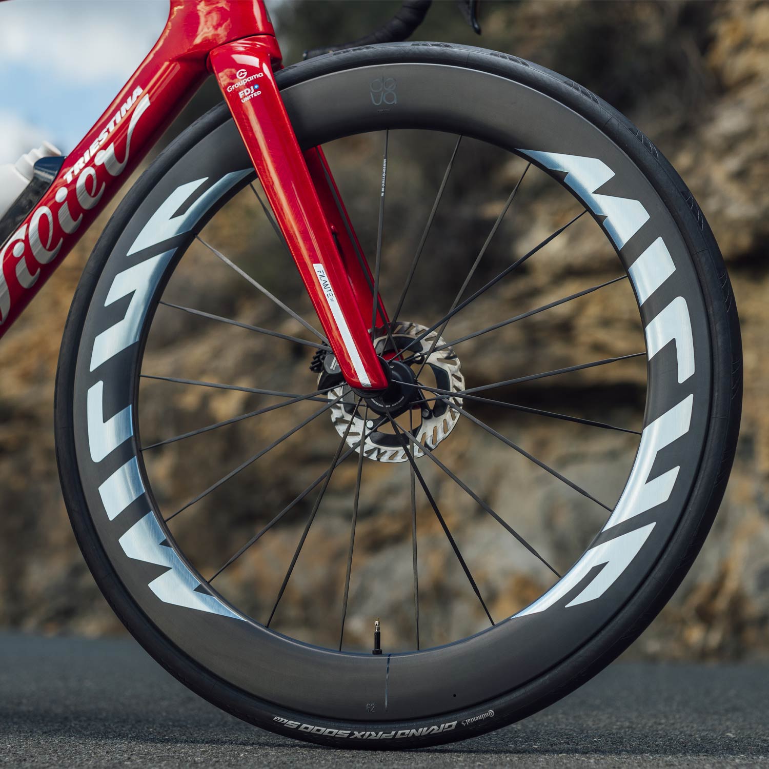 Miche Deva RD 52 Tubeless Disc Daylight Silver Team Edition Wheels