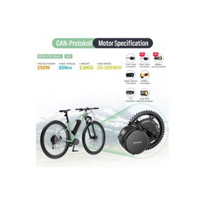 Bafang BBS01B 36V 250W Mid-Drive E-Bike Conversion Kit