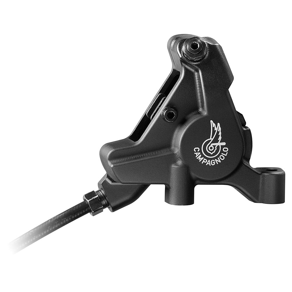 Campagnolo Record 12x Hydraulic Ergos and Calipers