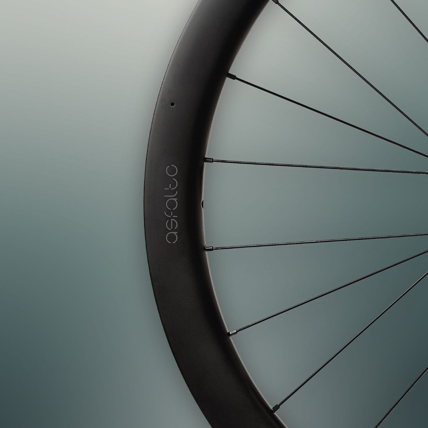 Miche Asfalto 45 Disc Wheels