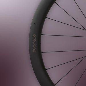 Miche Sterrato 45 Disc Wheels