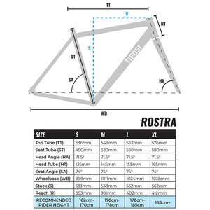 Tifosi Rostra Centaur Rim Brake Bike